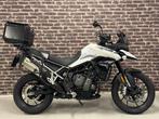 Triumph TIGER 900 GT PR (bj 2020), Motoren, Bedrijf, Sport, Meer dan 35 kW, 900 cc