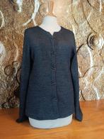 💖Prachtig Arana Alpaca wollen vest M/L, Kleding | Dames, Ophalen of Verzenden, Zo goed als nieuw, Maat 38/40 (M), Grijs