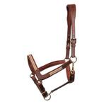 Harry’s horse halster leer Full bruin of zwart nieuw, Dieren en Toebehoren, Paarden en Pony's | Hoofdstellen en Tuigage, Ophalen of Verzenden