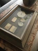 Fossiel en dendriet, Verzamelen, Mineralen en Fossielen, Ophalen of Verzenden, Fossiel