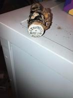 Fleshals J.H. Van Wees, Baarn, Ophalen of Verzenden