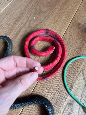 Slangen Speelgoed voor Spaarpot - Gebruikt beschikbaar voor biedingen