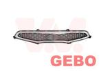 Kia picanto 2011/2015 bumper grille 5 deurs 86350-1Y000, Ophalen of Verzenden, Nieuw, Kia