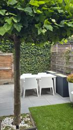 Tafel met 4 box stoelen wit., Ophalen, Gebruikt