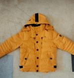 Wellensteyn Winterjas Geel - Maat M, Ophalen of Verzenden, Zo goed als nieuw, Geel