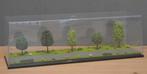 Diorama vitrine, bomenlaan 1, Ophalen of Verzenden, Nieuw, Bus of Vrachtwagen, Tekno