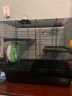 Mooi groot hamsterhok met leuke toebehoren, Minder dan 75 cm, Zo goed als nieuw, Ophalen, Minder dan 60 cm