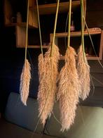 pampas pluimen lang - prachtig voor bruiloft/thuisdecoratie, Ophalen, Nieuw