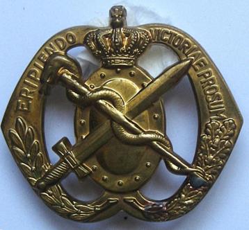 Baretembleem/Baret Embleem Eripiendo Victoriae Posum beschikbaar voor biedingen