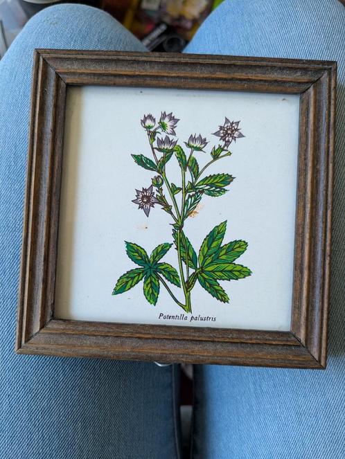 Tegeltje bloem in houten lijstje, Antiek en Kunst, Antiek | Wandborden en Tegels, Ophalen of Verzenden