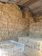 Kleine balen hooi, Dieren en Toebehoren, Dierenvoeding, Ophalen, Vee