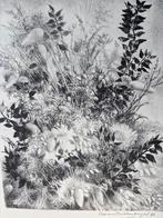 Droombloemen: Litho Aart van Dobbenburg, 1986, Ophalen of Verzenden