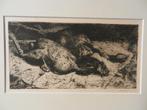 Ets Geplukte Hanen Floris Verster 1888 , in passe partout, Antiek en Kunst, Ophalen of Verzenden