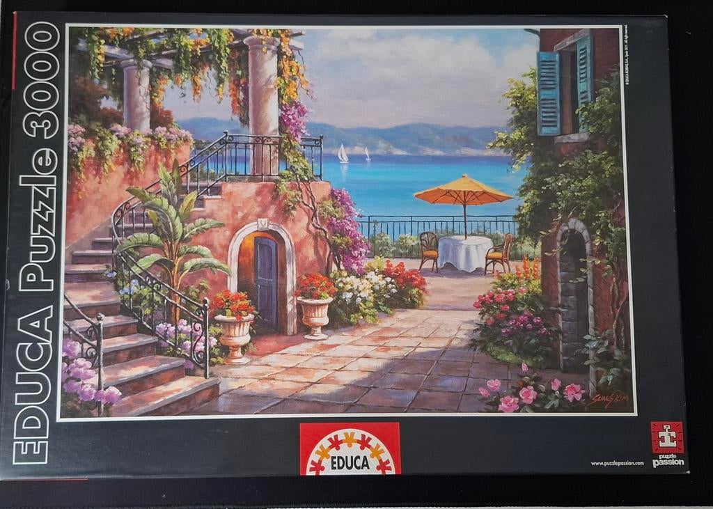 Puzzel 3000 stuks, Hobby en Vrije tijd, Denksport en Puzzels, Ophalen of Verzenden, Meer dan 1500 stukjes, Zo goed als nieuw