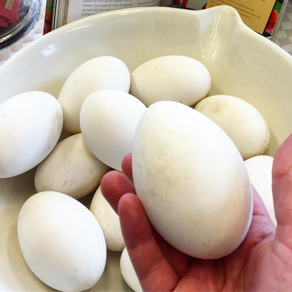 Ganzen eieren, Ophalen