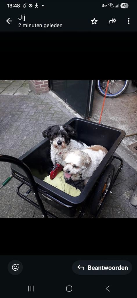 Hondenkar/Bagagekar voor fiets, scooter of brommer, Fietsen en Brommers, Ophalen, Gebruikt, Hondenkar, 20 tot 40 kg