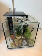 SuperFish aquarium QubiQ 60 Pro zwart 60 L, Ophalen, Gebruikt, Leeg aquarium