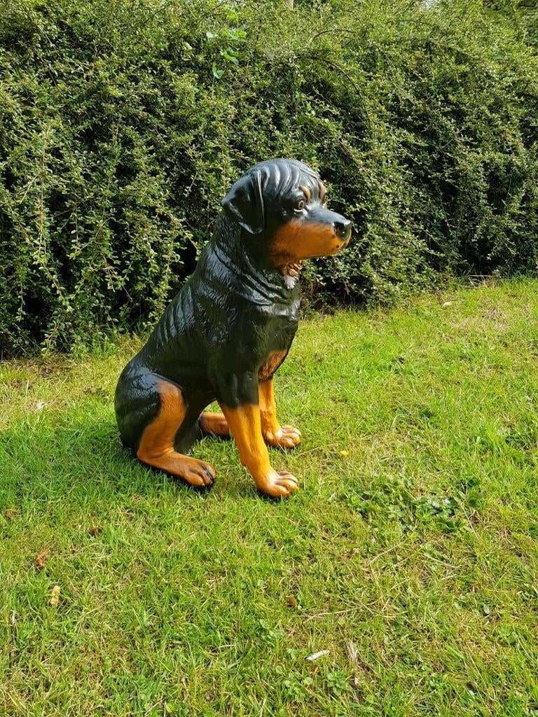 Rottweiler, Ophalen, Dierenbeeld, Hardinxveld-Giessendam, Handelsonderneming.devlinder@outlook.com