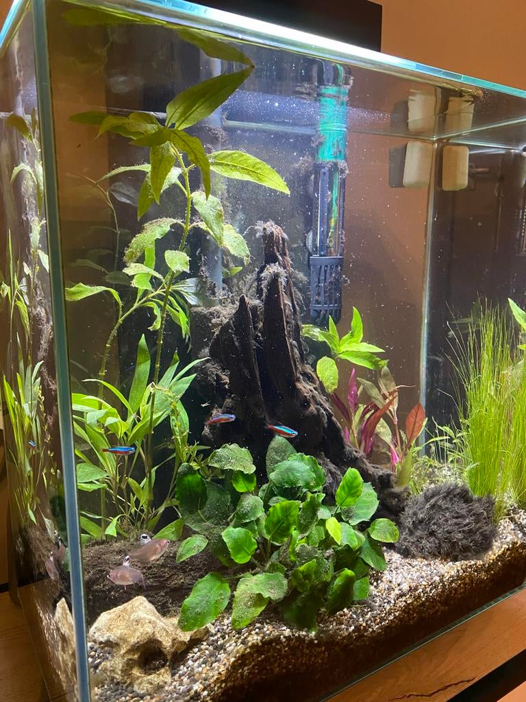 Fluval Edge 46liter aquarium, Ophalen, Gebruikt