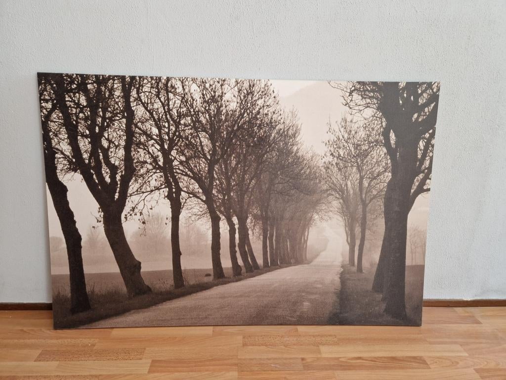 Ikea Pjätteryd afbeelding 118x78cm, Huis en Inrichting, Woonaccessoires | Schilderijen, Tekeningen en Foto's, Ophalen, 100 tot 125 cm