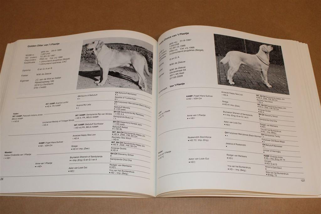 25 Jaar Labradors in NL — Uitgave Rasvereniging [1989], Ophalen of Verzenden, Gelezen, Honden