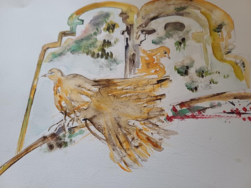 Auqarel duifjes, Hobby en Vrije tijd, Verzenden, Zo goed als nieuw