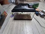 Compleet Aquarium +autofeeder+ NIEUWE Pompen & Filters, Vis