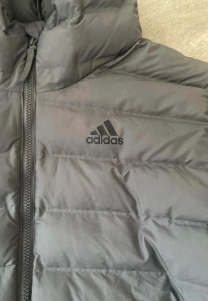 Grijze Adidas jas - Nieuwstaat, Kleding | Heren, Ophalen of Verzenden, Nieuw, Grijs