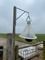 Dazenval, Dieren en Toebehoren, Ophalen, Gebruikt, Overige soorten