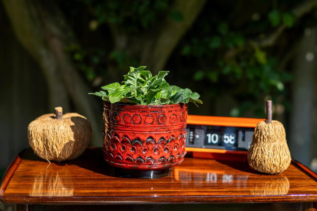 Vintage Fratelli Fanciullacci bloempot jaren 60 rood, Gebruikt, Rond, Ophalen of Verzenden, Aardewerk