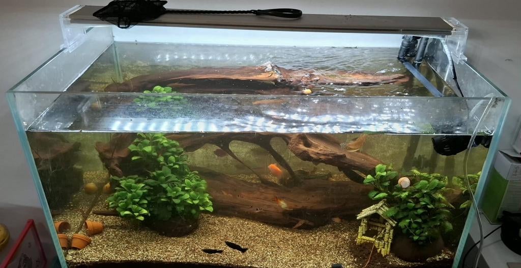 Complete Superfish 140L Aquarium + Tetra pomp + vissen, Dieren en Toebehoren, Ophalen, Zo goed als nieuw, Gevuld zoetwateraquarium