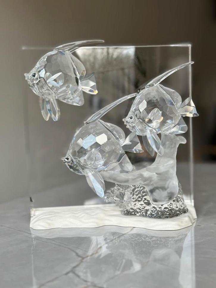 Swarovski Wonders of the Sea “Community” – kristal CRYSTAL, Verzamelen, Swarovski, Zo goed als nieuw, Huisaccessoire, Ophalen