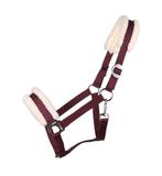 Halster met naam, Ophalen of Verzenden, Zo goed als nieuw, Overige soorten