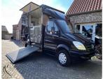 Mercedes-Benz Sprinter Paardenvrachtwagen (Rijbewijs B), Auto's, 13 km/l, Stof, Zwart, Particulier