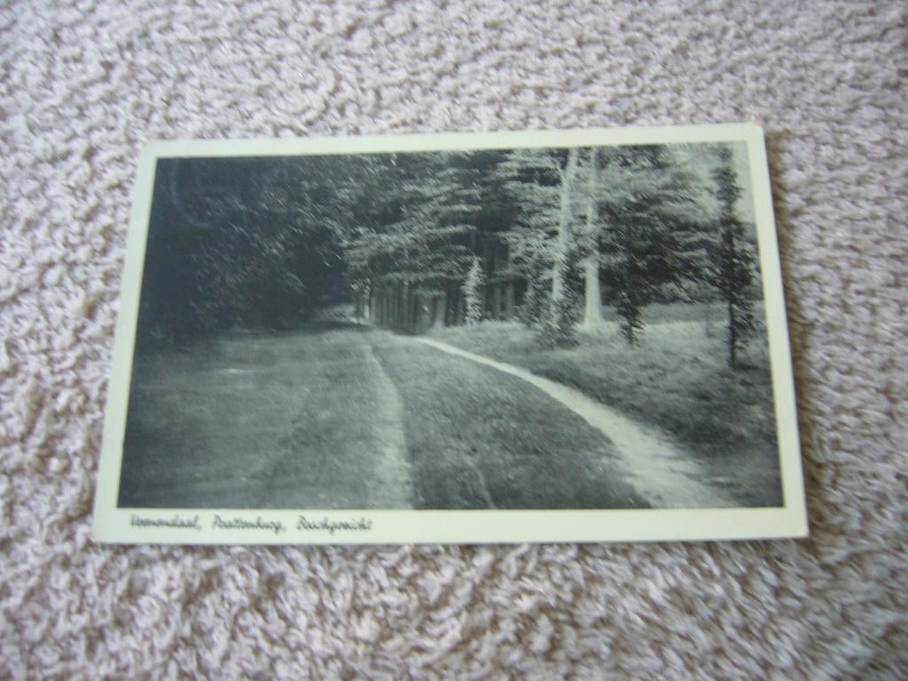 VEENENDAAL  =  PRATTENBURG - BOSCHGEZICHT, Ophalen of Verzenden, 1920 tot 1940, Gelopen, Utrecht