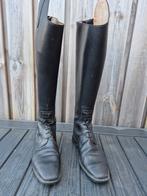 Leren Petrie paardrijlaarzen
Maat 7,5 (41), Ophalen of Verzenden, Gebruikt, Dressuur, Schoeisel