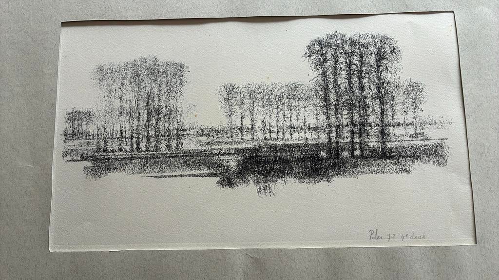 Ets Kunstenaar Peter Fekkes Olst - Landschap met bomen, Ophalen of Verzenden