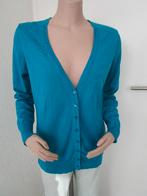 Vest maat L, Verzenden, Zo goed als nieuw, Maat 38/40 (M), Blauw