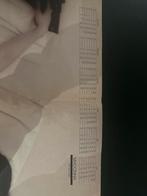 Madonna Penthouse Poster - Kalender, Verzamelen, Ophalen of Verzenden, A1 t/m A3, Muziek, Rechthoekig Staand