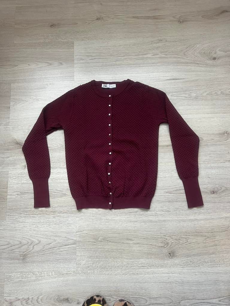 Sjieke Zara vest, Ophalen of Verzenden, Zo goed als nieuw, Maat 38/40 (M), Overige kleuren