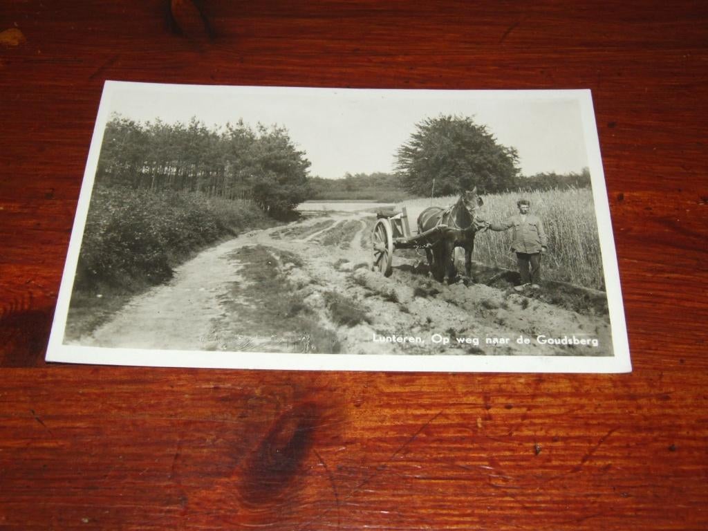 598- LUNTEREN, OP WEG NAAR DE GOUDSBERG - 1950, Verzenden, 1940 tot 1960, Gelopen, Gelderland