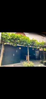 3 prachtige dakplantanen, Volle zon, 100 tot 250 cm, Zomer, Overige soorten