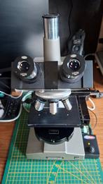 Olympus CH fase-contrast microscoop met LED-verlichting, Ophalen, Gebruikt, 1000x of meer, Biologische microscoop