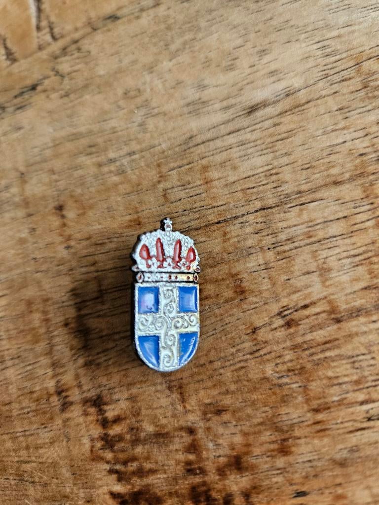 PEC Zwolle speldje - Voetbalclub pin, Ophalen of Verzenden, Gebruikt, Sport, Speldje of Pin