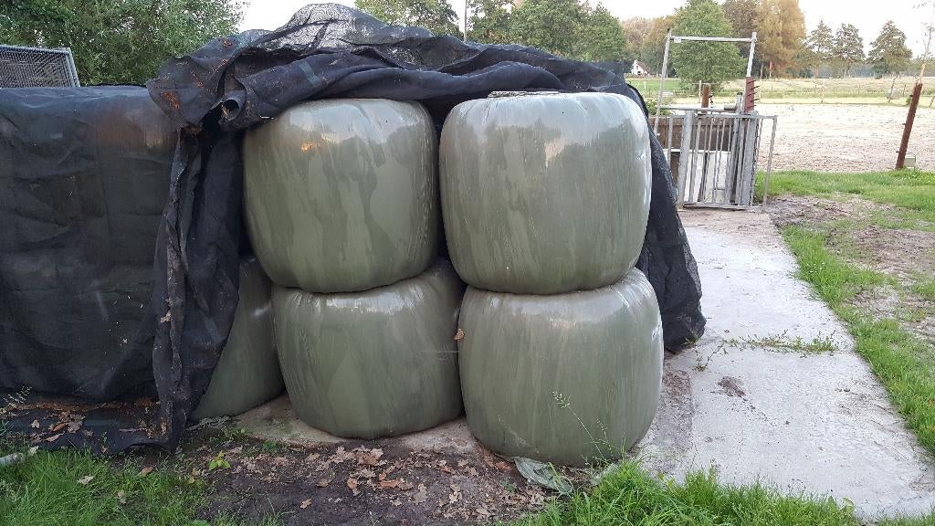 Midibalen, Ophalen, Vee