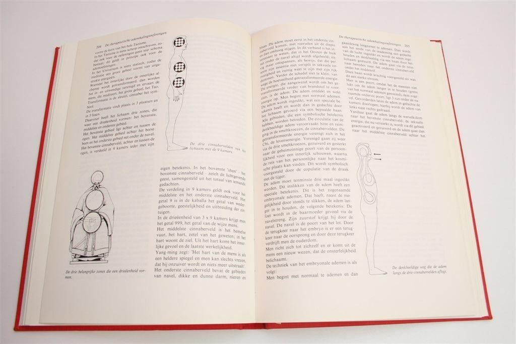 Acupunctuur — Praktische Handleiding [Zeldzaam & Geïll.], Ophalen of Verzenden, Gelezen, Overige onderwerpen, Achtergrond en Informatie