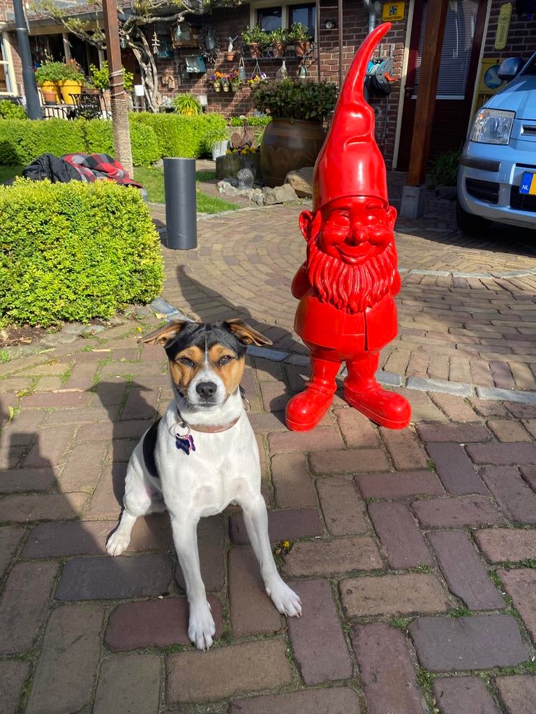 Grote tuinkabouter, Tuin en Terras, Tuinbeelden, Ophalen of Verzenden, Zo goed als nieuw