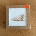 Storytiles Peakaboo! 13 x 13 cm, Ophalen of Verzenden, Nieuw