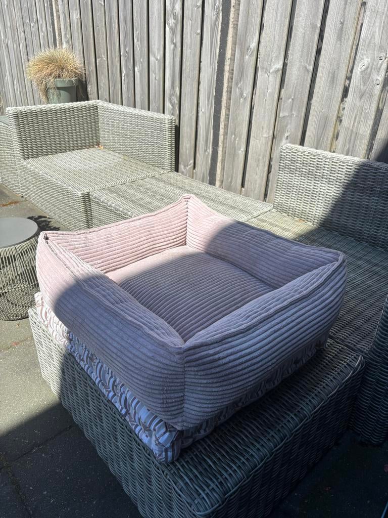 Hondenmand Designed by Lotte, Ophalen, Zo goed als nieuw