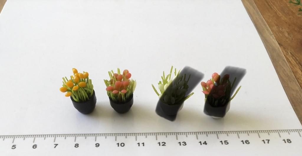 Poppenhuis miniaturen plantjes, Ophalen of Verzenden, Nieuw, Poppenhuis